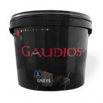 GAUDIOS - tynk dekoracyjny o efekcie naturalnej skały Gneys
